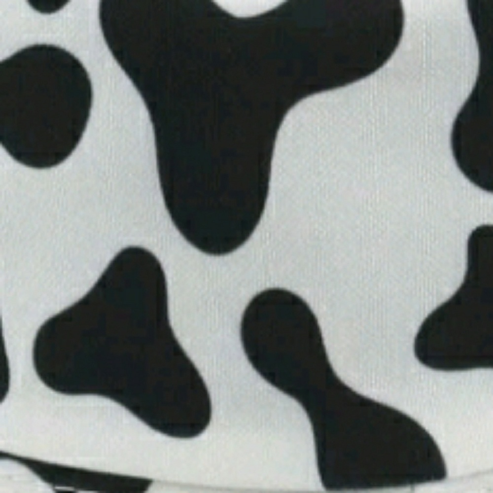 Meet your Posher, Leighton